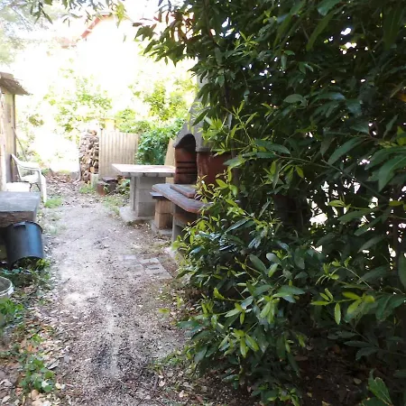 Near Archaeological Museum In In Pluj פולה