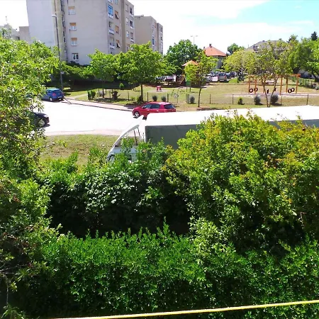 Near Archaeological Museum In In Pluj *